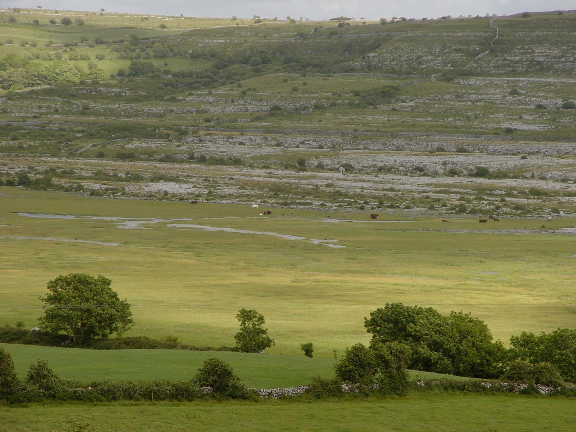 Clare'S Rock Self-Catering Accommodation Carron 외부 사진