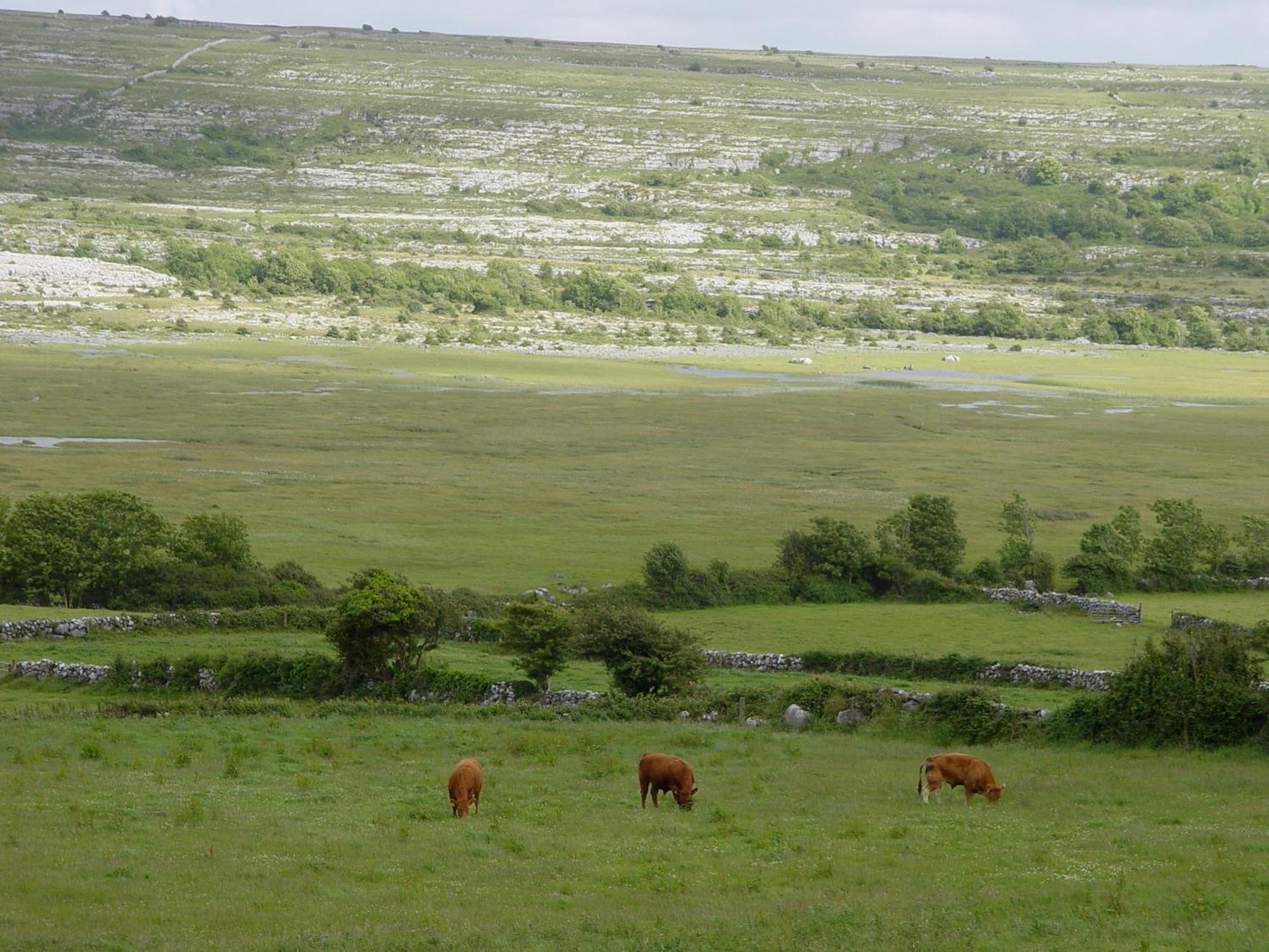 Clare'S Rock Self-Catering Accommodation Carron 외부 사진